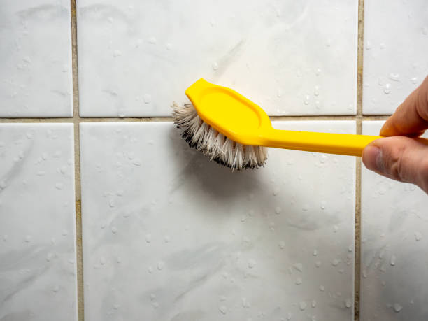 Best Affordable Mold Removal  in Laguna Vista, TX