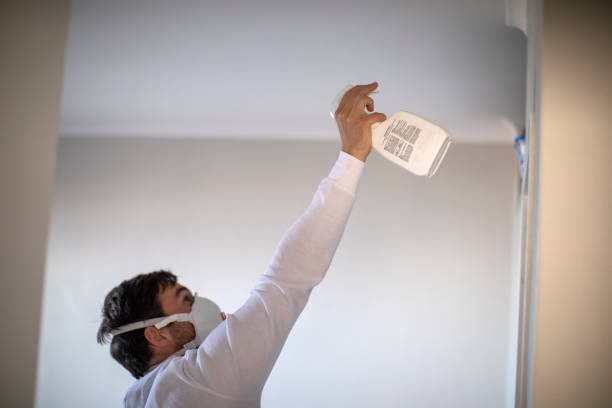 Best Mold Removal Company Near Me  in Laguna Vista, TX