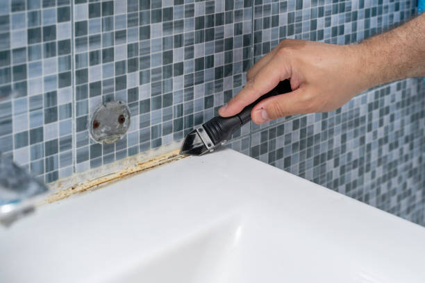 Trusted Laguna Vista, TX Mold Removal Experts
