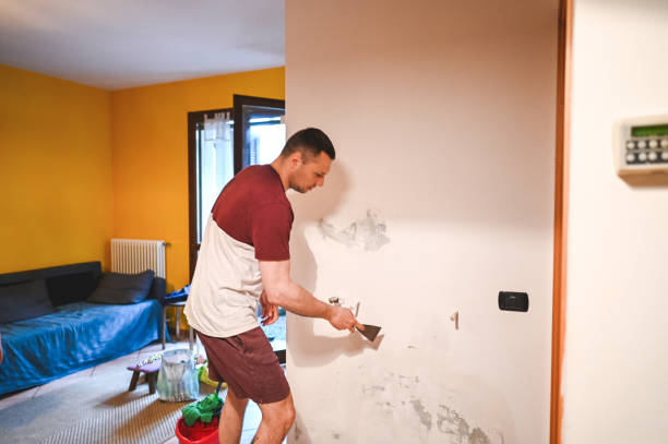 Best Home Mold Removal  in Laguna Vista, TX