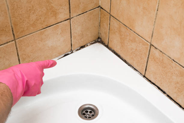 Best Certified Mold Removal  in Laguna Vista, TX